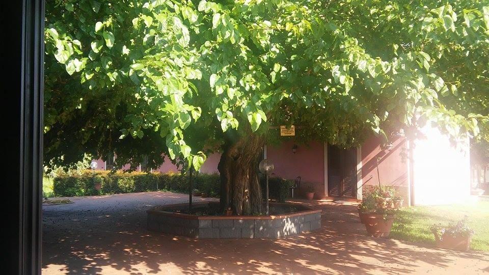 Il Pozzo Antico *